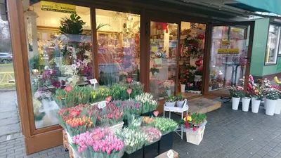 Kwiaciarnia Queensland